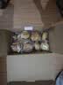 三只松鼠手撕面包1kg*2箱 早餐面包营养饱腹代餐酵母小面包糕点 实拍图