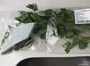带根香菜100g 实拍图