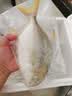 环球水产南海金鲳鱼净重700g/2条BAP认证深海鱼类海鲜家庭聚餐 实拍图