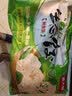 吴大嫂 东北水饺 鲅鱼馅 800g 40只 海鲜饺子 速冻蒸饺煎饺锅贴速食 实拍图