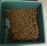 愛肯拿（ACANA）猫粮 牧场盛宴成猫幼猫粮 增肌发腮无谷进口鸡肉粮7.2kg 效期27/7 实拍图