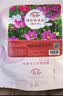 寿禾 格桑花种子精品波斯菊矮杆四季花卉籽 矮韵格桑花种子(矮秆)半斤 实拍图