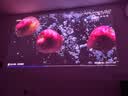 极米（XGIMI）Z9X 4K 旗舰版 焕新升级1650CVIA 4K光学变焦三色激光投影 哈曼卡顿家用智能云台投影仪 国家补贴 实拍图