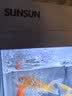 森森（SUNSUN）鱼缸过滤制氧一体机自循环客厅小型水族箱桌面懒人超白玻璃 250A标配+换水套餐（配过滤+LED灯） 实拍图