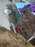 奥丁（ODIN）猫粮 美短英短蓝猫暹罗猫 鱼肉味猫咪食品 成猫全价猫粮2kg 实拍图