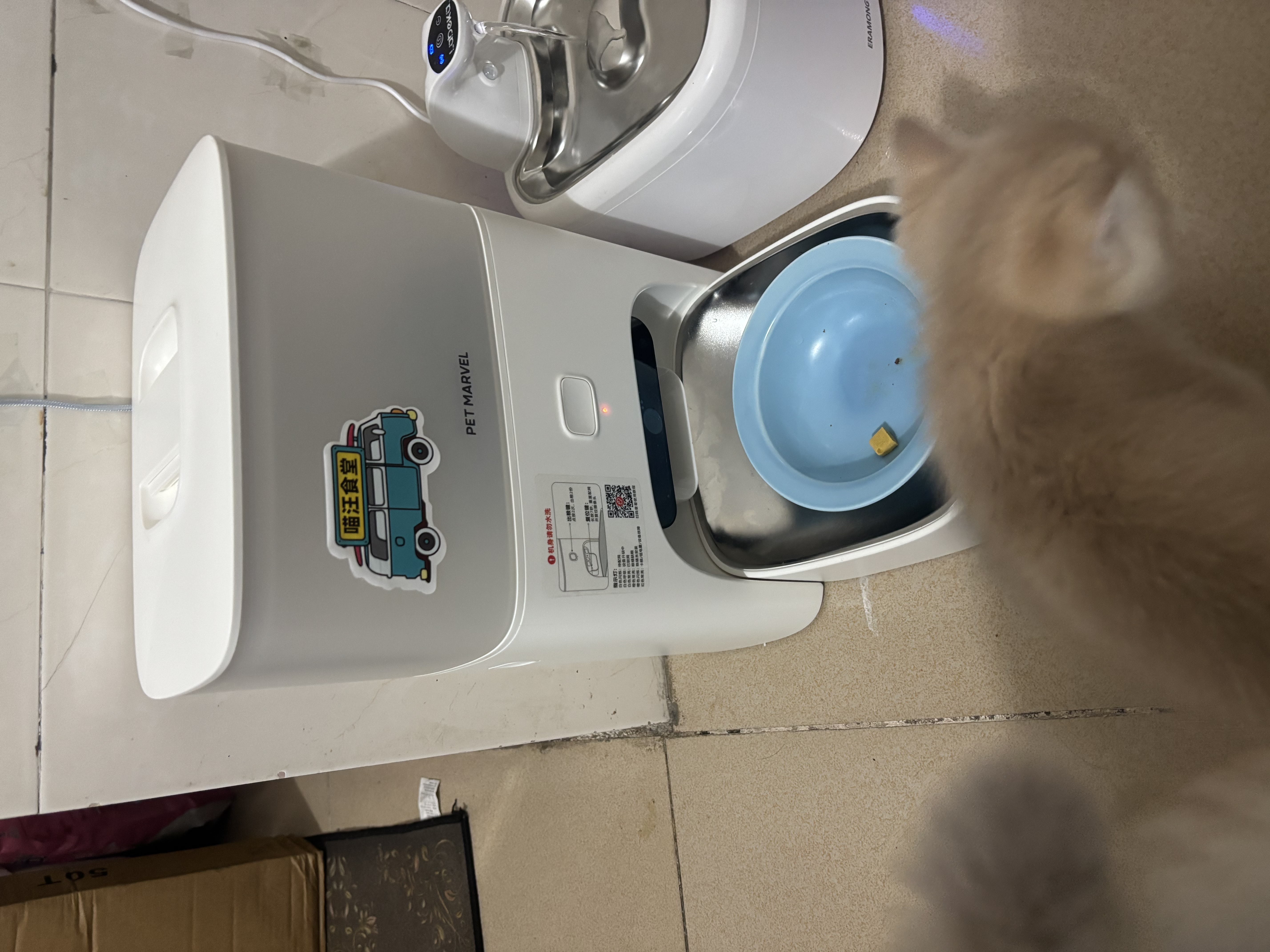 鳥語花香小方M3自动喂食器AI智能视频可视版猫粮狗粮定时锁鲜猫咪喂食器 实拍图