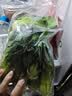 上海青约500g(油菜) 实拍图