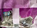 伟嘉猫粮成猫夹心粮 全价粮吞拿鱼1.3kg布偶蓝猫橘猫加菲英短猫咪 实拍图