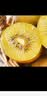 佳沛（zespri）新西兰金奇异果12粒特大果124-146g猕猴桃中秋节礼品送水果礼盒 实拍图