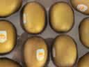 佳沛（zespri）新西兰金奇异果10粒巨大果146-175g猕猴桃中秋节礼品送水果礼盒 实拍图