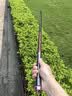 达亿瓦（DAIWA） 新款 一击樱 综合休闲手杆台钓竿轻碳素进口钓鱼竿钓杆 垂钓装备 F-6.3米 实拍图