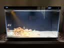 尼特利智能鱼缸自循环一体式新款自动喂食过滤鱼缸X-45 Ultra 实拍图