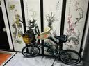 大行（DAHON）P8折叠自行车经典成人20英寸8速折叠车男女式运动单车KBC083 橙色【经典版】 实拍图