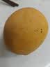 彩虹太阳澳芒2粒600g 实拍图