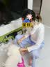 来旺兄弟宠物挂脖吹水机10分钟吹干猫咪狗狗吹风机洗澡吹干神器 实拍图