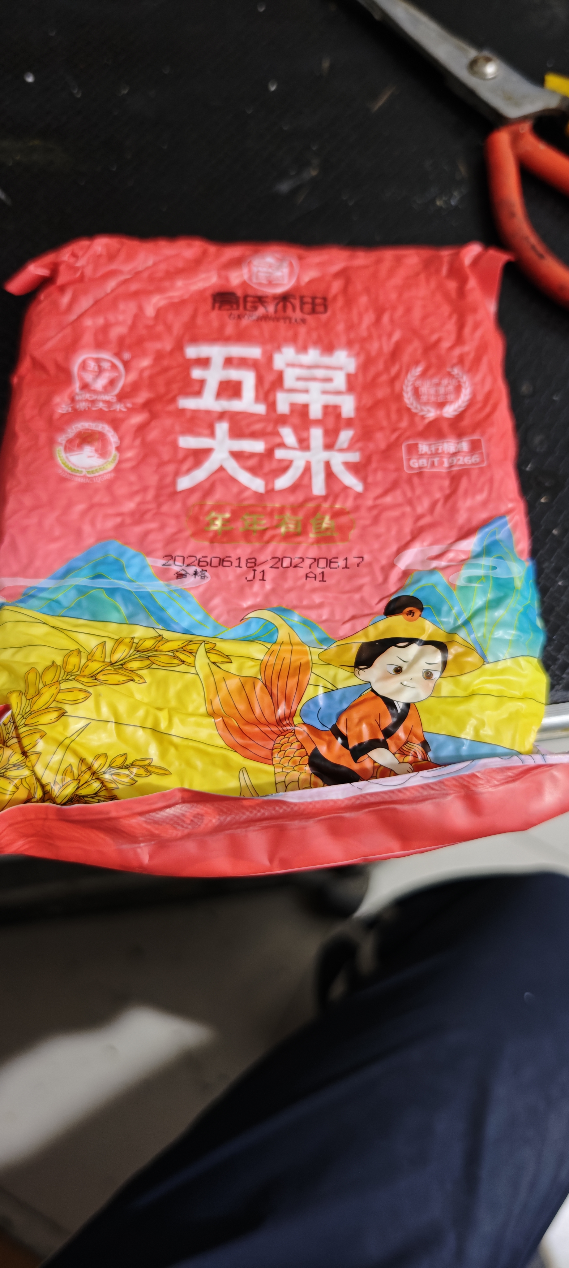 高氏禾田五常大米品鉴装500g 东北大米稻花香米1斤装 实拍图