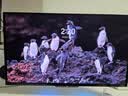 泰坦军团26.5英寸 QD-OLED 五层串联镜面屏 4K 240Hz 满血DP2.1 硬件低蓝光 内置音箱 电竞显示器 G2785W 实拍图