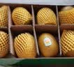 佳沛（zespri）新西兰金奇异果12粒特大果124-146g猕猴桃中秋节礼品送水果礼盒 实拍图