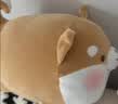 名创优品（MINISO）趣味阿柴柴犬小狗玩偶抱枕毛绒公仔床上靠枕学生午睡生日礼物可爱 实拍图