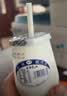 圣祥老北京酸奶原味老酸奶乳酸菌发酵生牛乳低温酸牛奶北京特产 正宗老北京酸奶180g*12瓶 实拍图