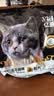 亿迪冻干猫粮幼猫成猫10斤全价国产布偶猫咪增肥发腮防掉毛全阶段专用 实拍图