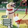 欢宠网狗绳3件套狗狗牵引绳狗项圈链子胸背带遛狗绳子小中型犬宠物用品 实拍图