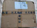 贝灵开放式点读笔1-3-6岁全科万能幼儿小蝌蚪通用早教英语学习机玩具 0-8岁启智启蒙-标准版16G 实拍图