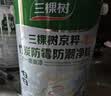 三棵树漆京粹乳胶漆防霉防潮二合一易擦洗墙面油漆涂料15L套装【可调色】 实拍图