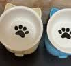 憨憨乐园猫碗陶瓷猫粮双碗斜口狗碗狗盆狗粮宠物幼猫咪吃饭食盆喝水喂食 实拍图