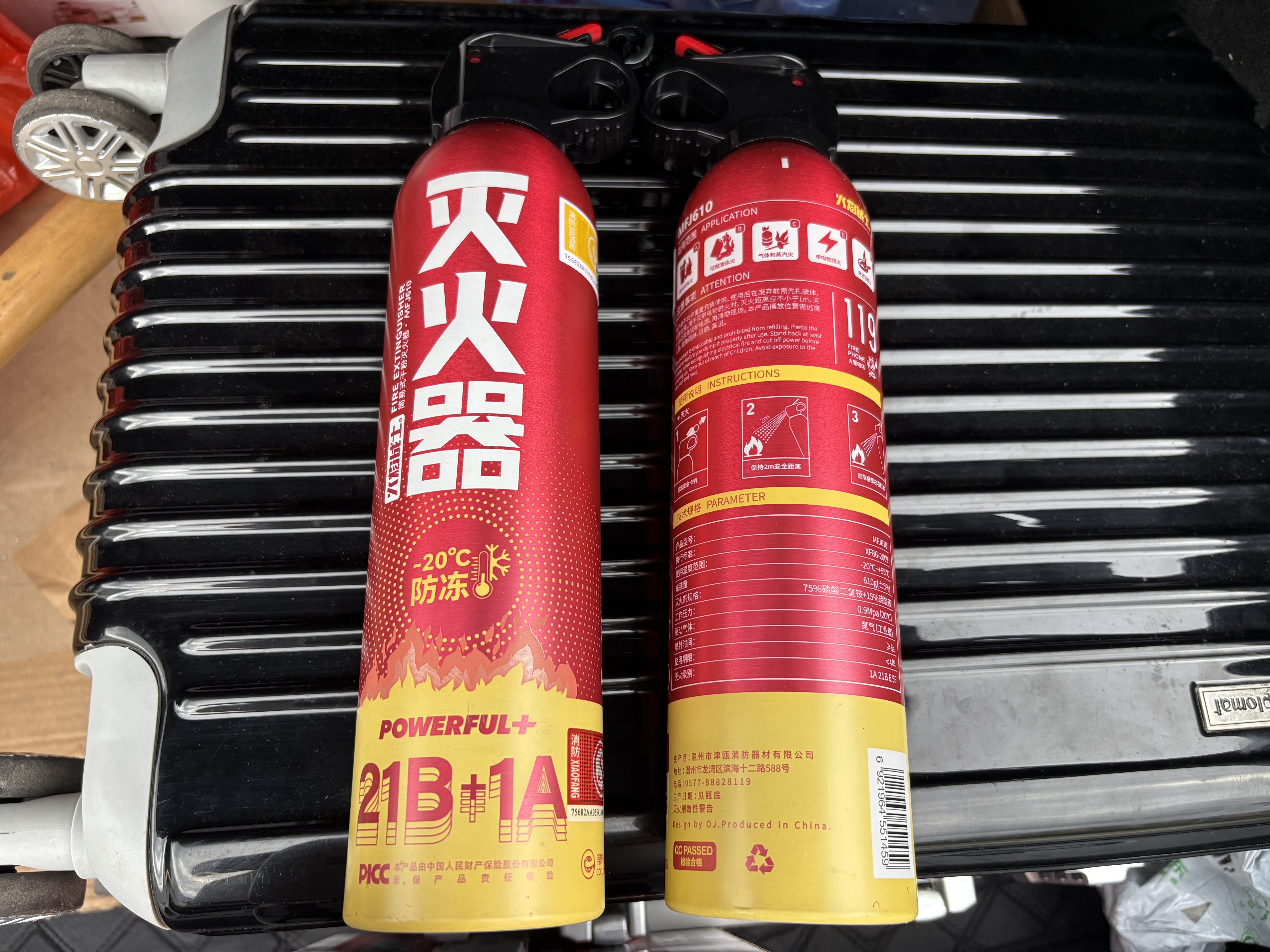 火焰战士 灭火器车载家车用干粉灭火器便携新能源消防器材1A21B增强型610G 实拍图