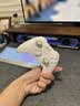 北通鲲鹏20游戏手柄AI智控双切扳机TMR震动无线多模蓝牙xbox类电脑PC手机steam体感NS switch2影之刃零 实拍图