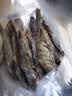 鲜京采 开背去虾线海白虾3斤装 大号45-60只 中秋礼盒 实拍图