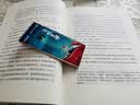 杀死一只知更鸟（新）（豆瓣9.3，关于勇气与正义的成长教科书，影响全球5000万家庭的“教养宝典”，奥巴马、贝克汉姆、奥普拉鼎力推荐） [To Kill a Mockingbird]  实拍图
