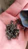 一杯香茶叶绿茶明前碧螺春1钻250g新茶中秋礼盒装礼品送礼自己喝散装 实拍图