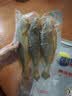 三都港 三去黄花鱼500g/3条装小黄鱼 深海鱼生鲜鱼类 烧烤食材 中秋海鲜 实拍图