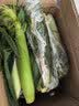 京鲜生焦作温县沙土铁棍山药 净重6斤62-67cm粉糯香润蔬菜源头直发 实拍图