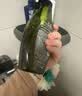滋源无患子洗头发水控油轻盈持久蓬松洗发露无硅油男女士400ml*3 实拍图