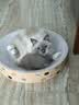领先成猫尝鲜礼包主食级烘焙猫粮猫条餐盒汤包（新老款随机发货） 实拍图