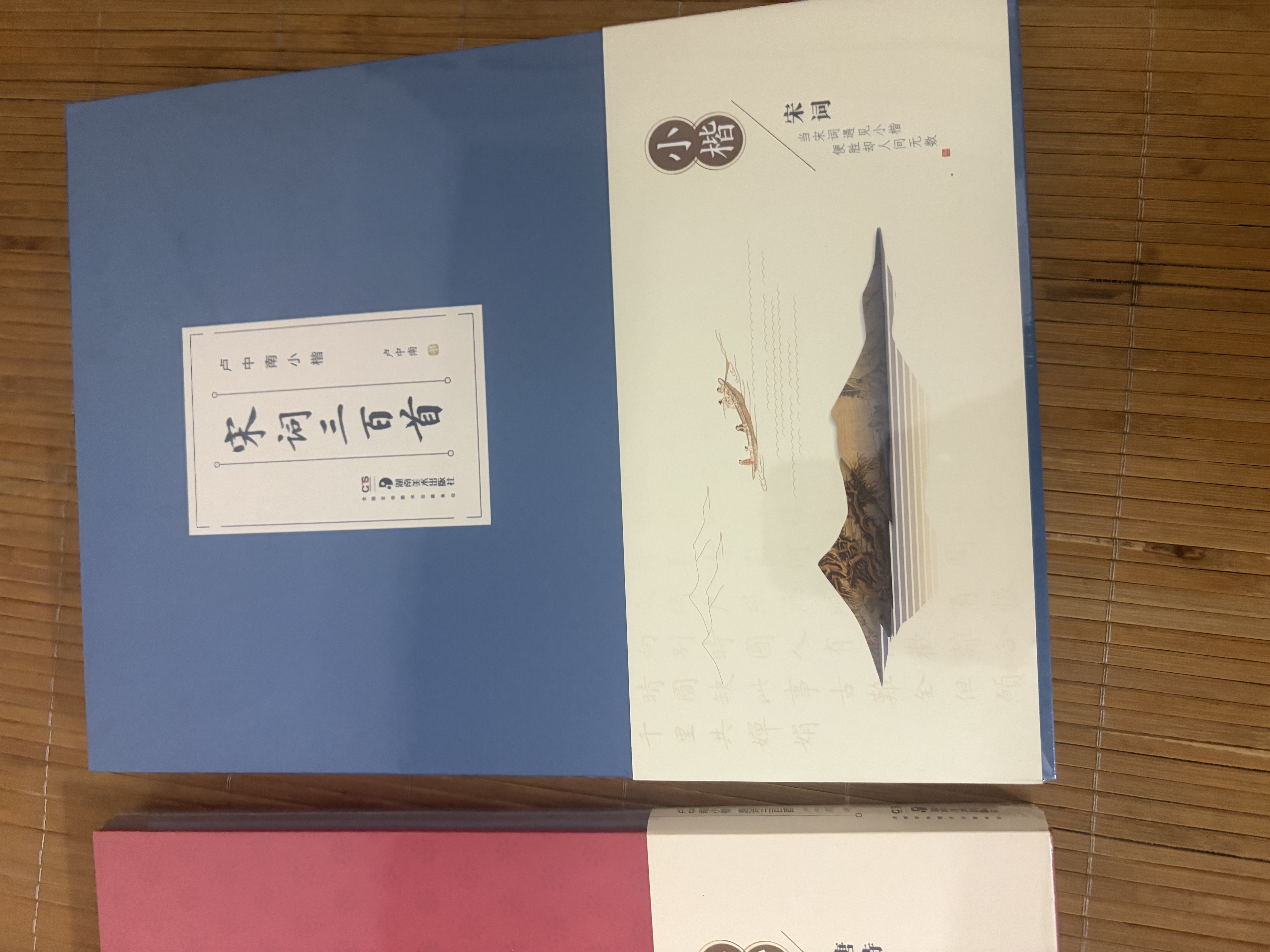 华夏万卷毛笔字帖 卢中南小楷字帖唐诗三百首+宋词三百首(2本套) 成人楷书字帖簪花小楷书法精装正版 实拍图
