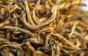班章醇滇红茶云南古树红茶金丝滇红金芽头春茶中秋小罐散茶叶礼盒装250g 实拍图