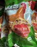 温氏供港老母鸡2.4斤*2只 散养土鸡富硒老母鸡 冷冻500天鸡汤 实拍图