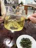 正山王茶叶安溪铁观音特级清香型2026新茶乌龙茶叶礼盒装送长辈领导500g 实拍图