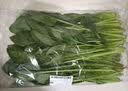 西兰花约500g 实拍图
