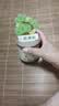 佳茉日历/台历放轻松日历桌面摆件办公室装饰万年历台历新年送老师女生生日礼物 放青松-盆栽万年历 实拍图