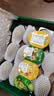 佳沛（zespri）新西兰金奇异果12粒特大果124-146g猕猴桃中秋节礼品送水果礼盒 实拍图