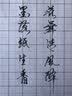 毕加索（pimio）美工笔弯头弯尖书法钢笔生日礼物男女士练字成人学生用笔1.0mm雅典皇朝系列906雾金 实拍图