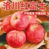 正宗红富士丑苹果脆爽多汁应季红富士苹果新鲜苹果多仓混发 整箱9斤净重8斤A+级大果【果径70-80】 实拍图