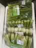 京鲜生&东升 有机上海青苗250g 鸡毛菜小唐菜 广东源头直发 实拍图