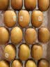 佳沛（zespri）新西兰金奇异果18粒超大原箱175-204g猕猴桃中秋节礼品送水果礼盒 实拍图