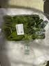 上海青约500g(油菜) 实拍图